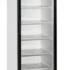 Шкаф морозильный TEFCOLD UFSC370GCP