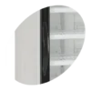Шкаф морозильный TEFCOLD NF2500G